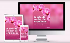 A Arte de Cuidar de Orquídeas