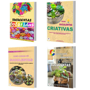 Suculentas Coloridas